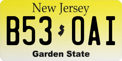 NJ license plate B53OAI