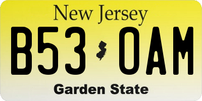 NJ license plate B53OAM