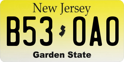 NJ license plate B53OAO