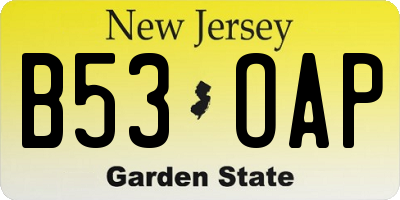 NJ license plate B53OAP