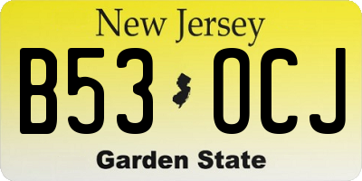 NJ license plate B53OCJ