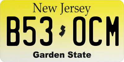 NJ license plate B53OCM