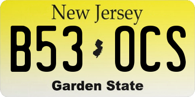 NJ license plate B53OCS