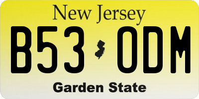 NJ license plate B53ODM