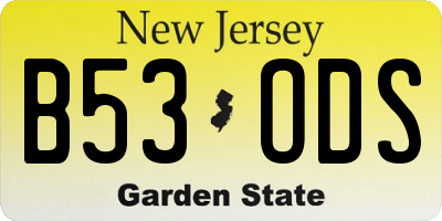NJ license plate B53ODS