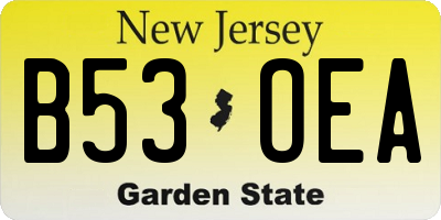 NJ license plate B53OEA