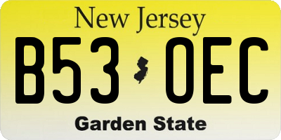 NJ license plate B53OEC
