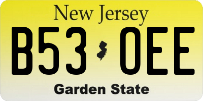 NJ license plate B53OEE