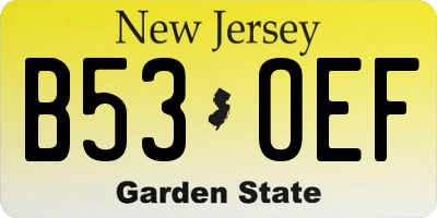 NJ license plate B53OEF