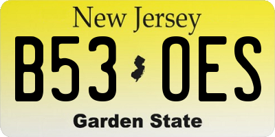 NJ license plate B53OES