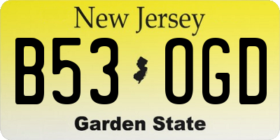 NJ license plate B53OGD