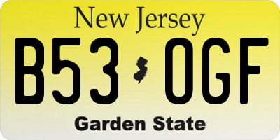 NJ license plate B53OGF