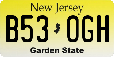 NJ license plate B53OGH