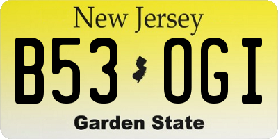 NJ license plate B53OGI