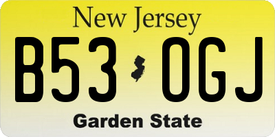 NJ license plate B53OGJ