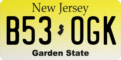 NJ license plate B53OGK