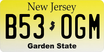 NJ license plate B53OGM