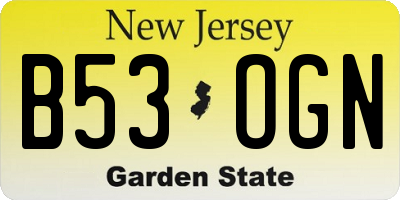 NJ license plate B53OGN