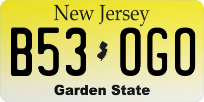 NJ license plate B53OGO