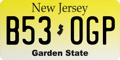 NJ license plate B53OGP