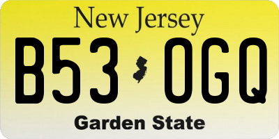 NJ license plate B53OGQ
