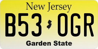 NJ license plate B53OGR