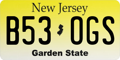 NJ license plate B53OGS