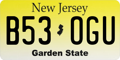NJ license plate B53OGU