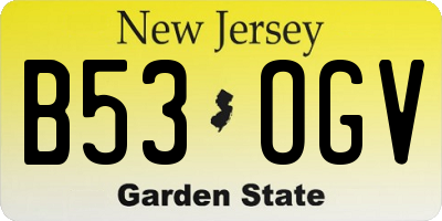 NJ license plate B53OGV