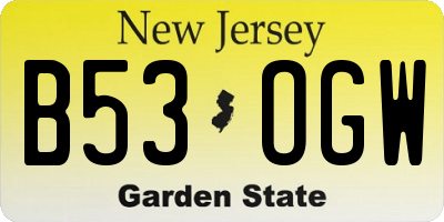 NJ license plate B53OGW