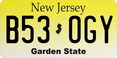 NJ license plate B53OGY