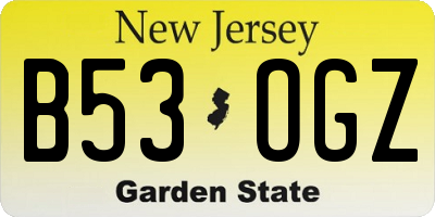 NJ license plate B53OGZ