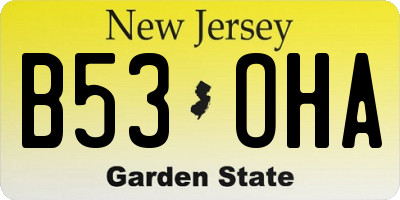 NJ license plate B53OHA