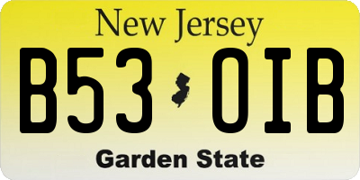 NJ license plate B53OIB