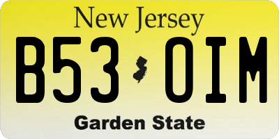 NJ license plate B53OIM