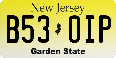NJ license plate B53OIP