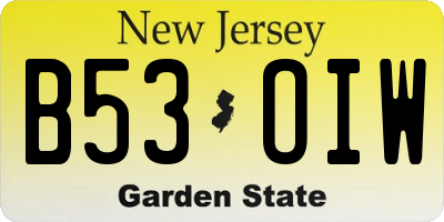 NJ license plate B53OIW