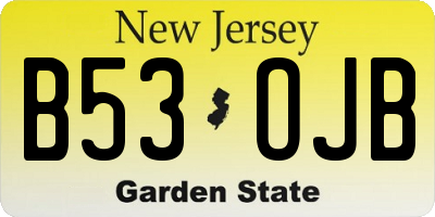 NJ license plate B53OJB