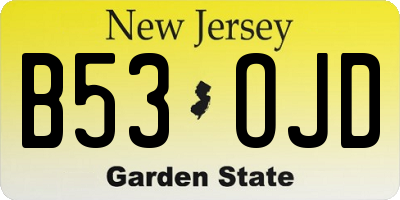 NJ license plate B53OJD
