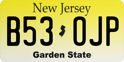 NJ license plate B53OJP