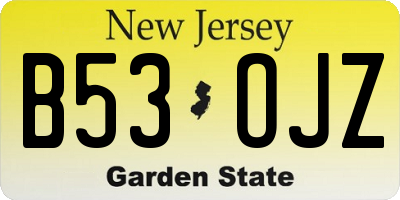NJ license plate B53OJZ