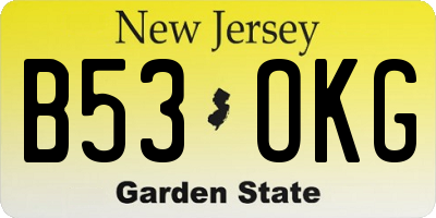 NJ license plate B53OKG