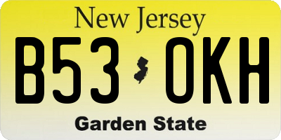 NJ license plate B53OKH