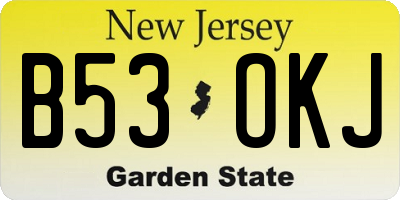 NJ license plate B53OKJ