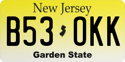 NJ license plate B53OKK