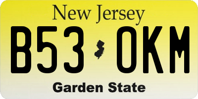 NJ license plate B53OKM