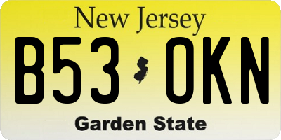 NJ license plate B53OKN