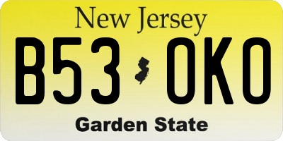 NJ license plate B53OKO