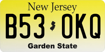 NJ license plate B53OKQ