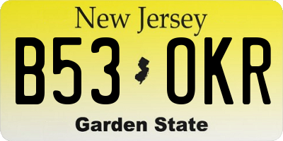 NJ license plate B53OKR
